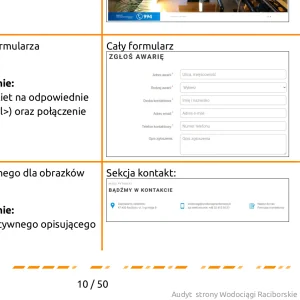 Przykładowa strona z raportu dostępności cyfrowej