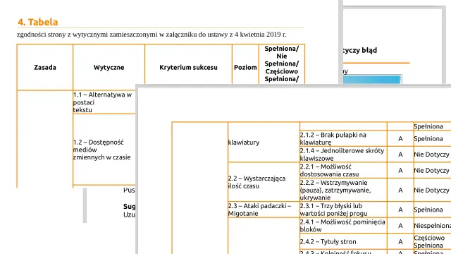 Przykład raportu dostępności cyfrowej WCAG